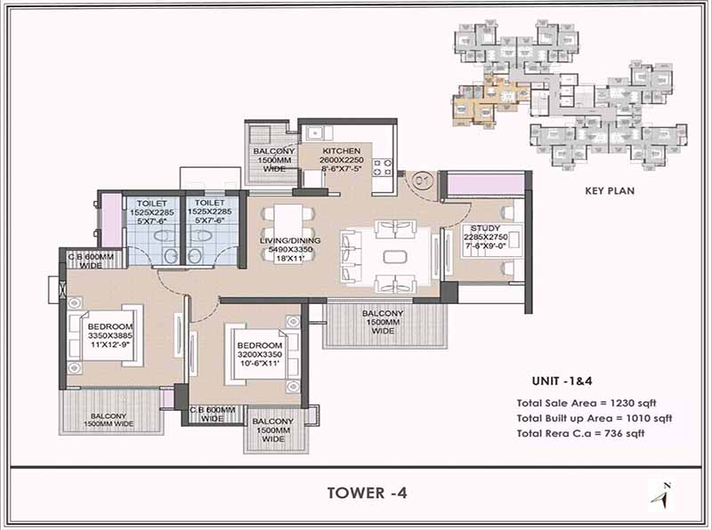 CRC Joyous Floor Size